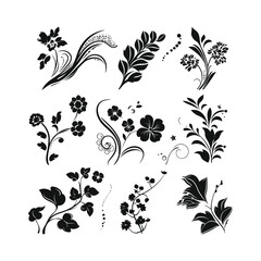 Decorative Floral Element Silhouette set Clipart on a white Background