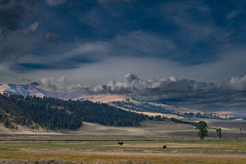 Stormy evening sky in Yellowstone