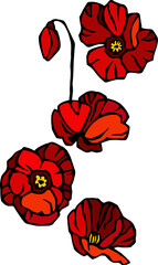 Poppies pattern. Grunge background isolated on White Background. Vector Illustration.