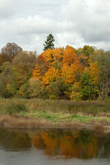 Autumn view to the river Venta near the city Kuldiga, Latvia. High quality photo