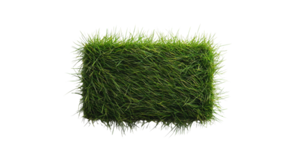A lush, green grass block with vibrant, elongated blades, showcasing a rich texture and natural appearance.