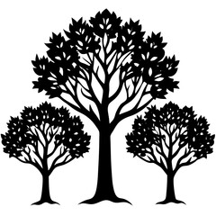 Obraz premium silhouette of tree