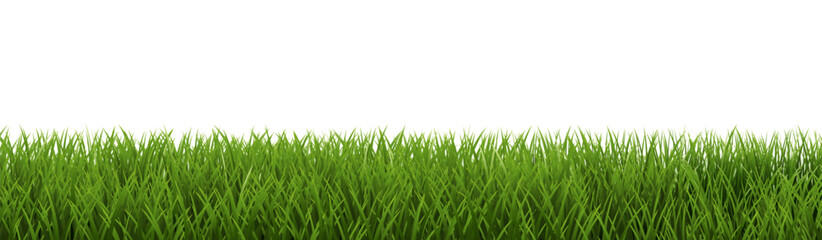 Green Grass Frame Isolated And White Background