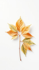 Watercolor maple leaf artwork on white surface, hand-painted, natural elements, close-up, seasonal, nature-inspired