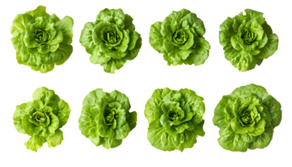 set of green vegetables