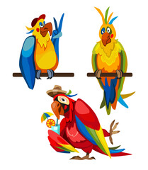 A set of four drawings of parrots holding a sign. The parrots are all different sizes and are holding the sign in different positions