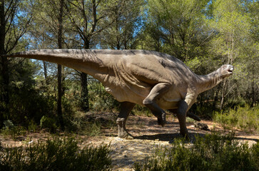 Iguanodon bernissartensis, Dent d'iguane, Musée Parc des Dinosaures, 34140, Mèze, Hérault, France