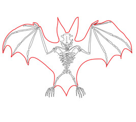 Skeletal system of animals. Animals Bone Structure hand drawing vector illustration