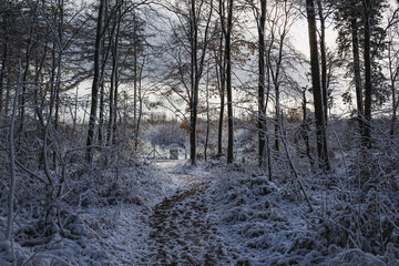 Winterlandschaft idyllisch im Sauerland bei Lennestadt