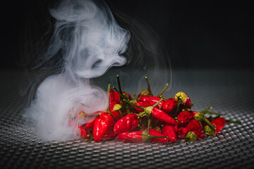 Scharfe Chili Schoten auf Rost mit Rauch makro