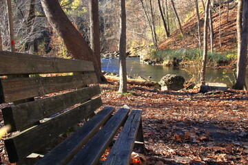 Empty Park Bench Invites Hikers To Rest By Creek