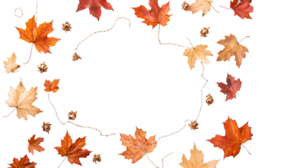  A few falling autumn maple leaves isolated on Transparent PNG format Background 