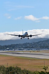 Fototapeta premium airplane in the sky