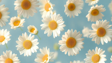 Obraz premium A pattern of floating daisies in pastel yellow and white, gently scattered over a muted blue background