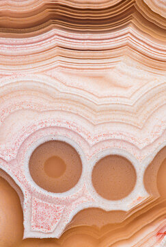 Macrophotograph of Cut and Polished Laguna Agate from Mexico