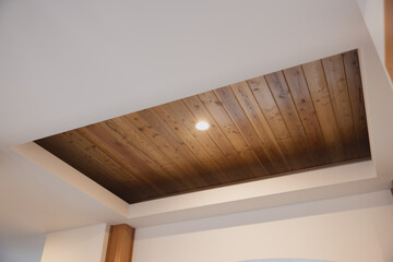 An indented ceiling with a can light and wood backing