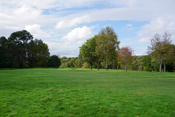 Green landscape of golf course. view of golf hole fairway and surrounding trees