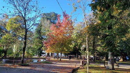 Parque Rosalía de Castro en Lugo, Galicia
