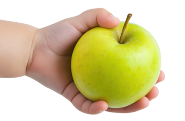 Child's hand holding a green apple, isolated on transparent cutout background
