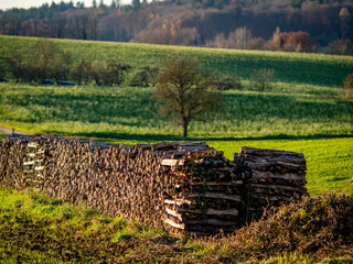 Große mengen Brennholz auf einer Wiese © focus finder