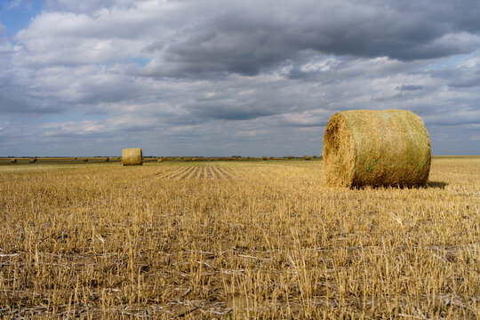 hay bales on the oil field