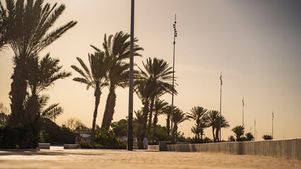 palmy spacer ocean atlantycki maroko agadir marrakesz © Tymoteusz