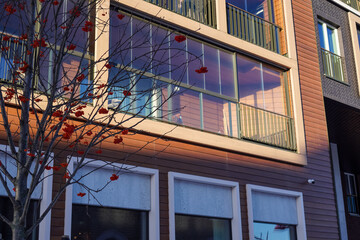 Modern architecture and vibrant autumn berries in Noblessner, Tallinn, Estonia during the year 2024