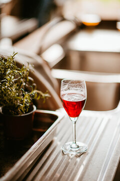 elegant glass of red wine beside green plant on metallic surface