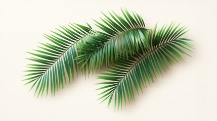 Fototapeta premium Three vibrant green palm leaves arranged on a light background.