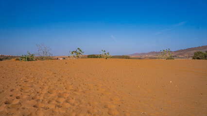 sahara  pustynia agadir maroko wielbłądy © Tymoteusz