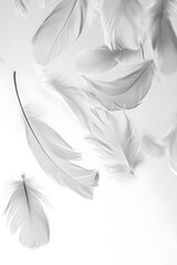 Obraz premium Ethereal Grace: White Feathers in Tranquil Descent on a Pristine Canvas