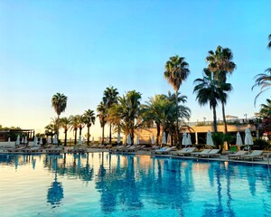 swimming pool with palms around it and reflection in water 