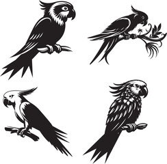 Obraz premium silhouette of clean vector of parrot isolated