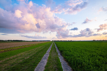 Obraz premium Perspective image of a country road disappearing into the distance with beautiful coloured evening clouds above it