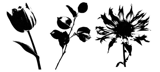 Grunge flower stamp set with ink overprint effect. Hand drawn black vector silhouettes of floral collection.