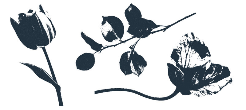 Grunge overprint flower stamp set with ink effect. Hand-drawn abstract floral and botanical elements in black and white.