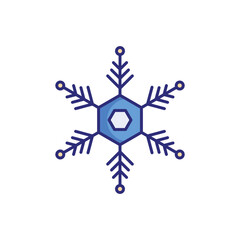 Snowflake vector icon