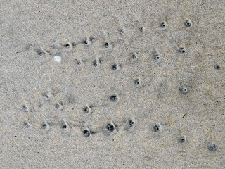 Luftlöcher im Sand von Jütlands Strand