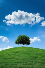 Fototapeta premium A green grassy hill with a blue sky and white clouds with a lone tree