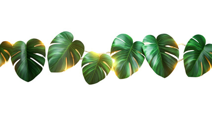 string of LED lights in the shape of tropical leaves, isolated on a seamless white background