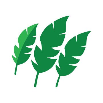 recommend clip art: Tropical Green Banana Leaf Outline.