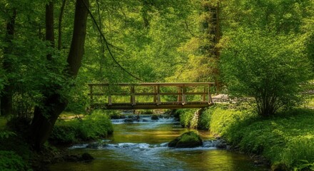 Fototapeta premium Serene stream with sunlit wooden bridge