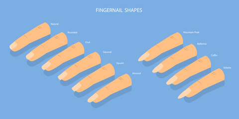 3D Isometric Flat Vector Set of Different Shapes of Fingernails, Iinds of Nails