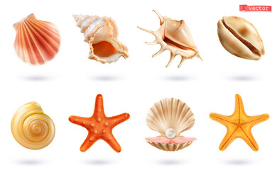 Seashell icon 3d realistic vector set