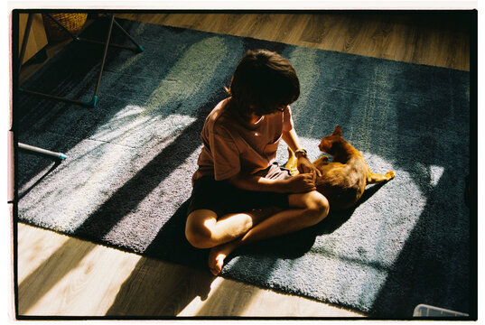 A boy playing with a cat on a cozy rug.