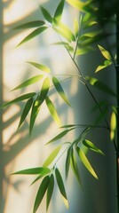 Bamboo leaves gently illuminated by soft sunlight in a serene indoor setting