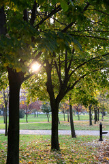 autumn in the park