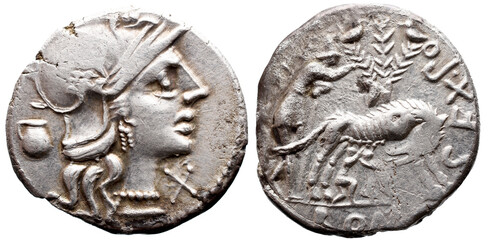 Ancient Roman Impire Coin