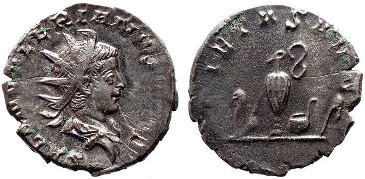 Imperio Romano
Imperial Romano SALONINUS (C&eacute;sar, 258-260). Antoniniano. Col&oacute;nia Agrippinensis.