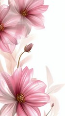 Beautiful pink flowers with delicate petals and soft texture against a plain background